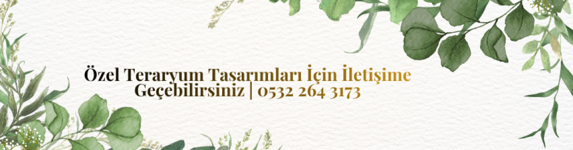 TERARYUMLAR